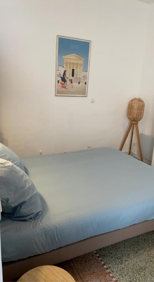 Ferienwohnung L'Ecrin Des Calquieres Nîmes Exterior foto